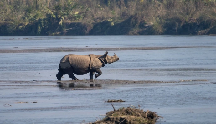 Chitwan
